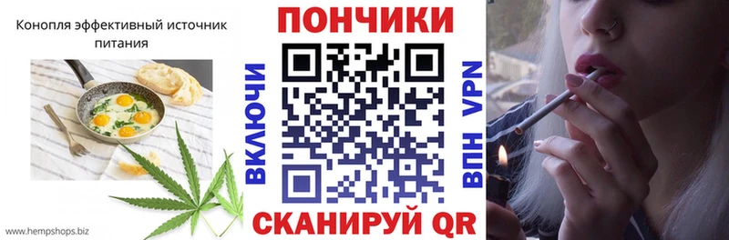 Canna-Cookies марихуана  где найти наркотики  Железногорск 