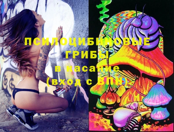 spice Вяземский