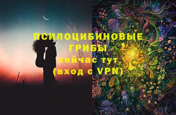 spice Вяземский