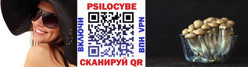 Галлюциногенные грибы мухоморы  где купить   Железногорск 
